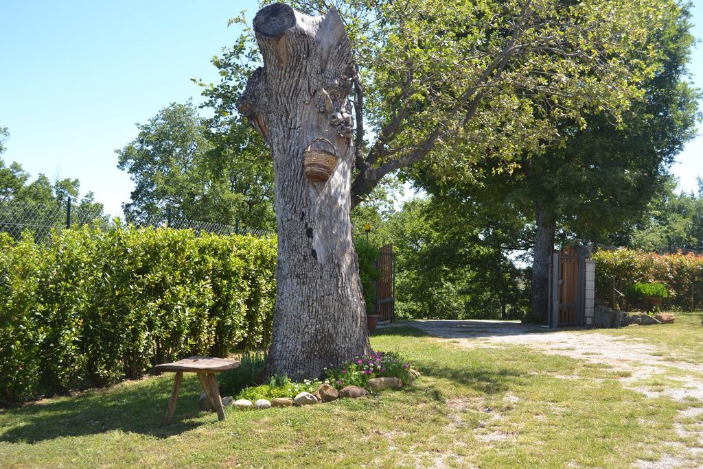 Hotel Al Bosco Delle Api Gallicchio Exterior foto